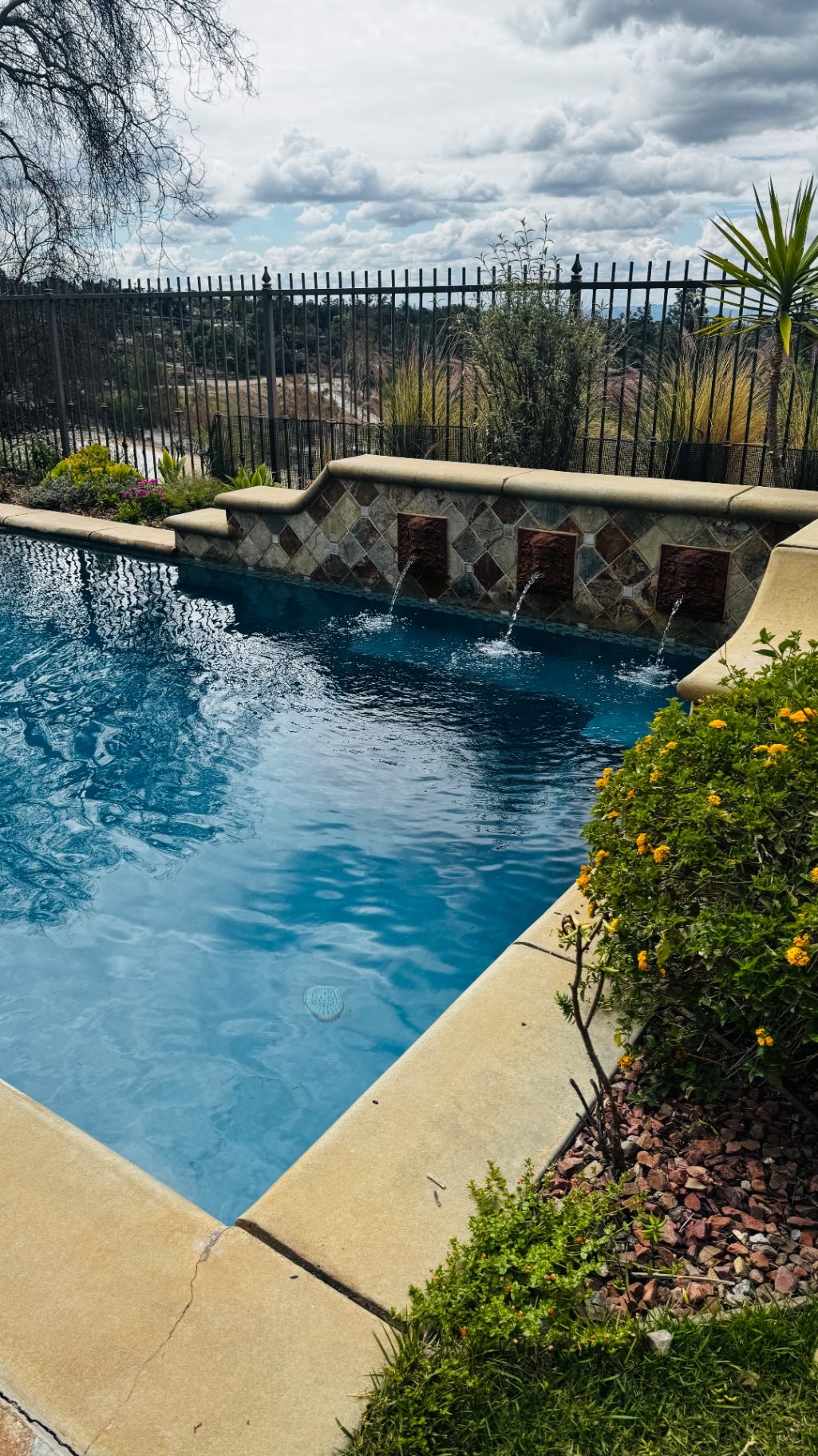 Pool filled with ash and debris after Altadena fire